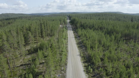 4k-Drone-shot-of-summer-green-trees-in-dense-forest-with-a-small-country-road