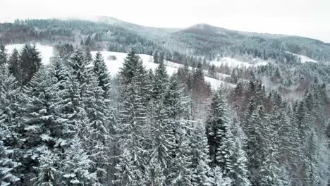 Atemberaubende-Luftaufnahme-Der-Weiten-Schneeweißen-Landschaft-In-Der-Hohen-Tatra,-Slowakei
