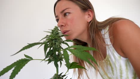 Schönes-Glückliches-Und-Lächelndes-Kaukasisches-Mädchen-Mit-Einem-Blumentopf-Einer-Kleinen-Riechenden-Cannabispflanze