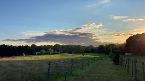 Paddock-and-field-for-horses-at-beautiful-sunset-in-Surrey,-England