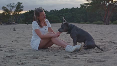 Young-woman-petting-and-kissing-a-American-Staffordshire-Terrier-while-sitting-in-sand-dunes-at-golden-hour