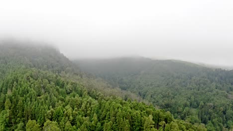 Lush-mountain-forest-in-Azores-covered-in-spooky-heavy-fog,-aerial