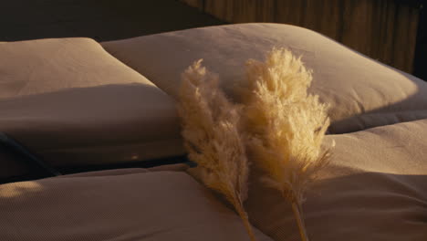 Static-Shot-Of-Pampas-Blowing-In-The-Wind-On-Cream-Cushions