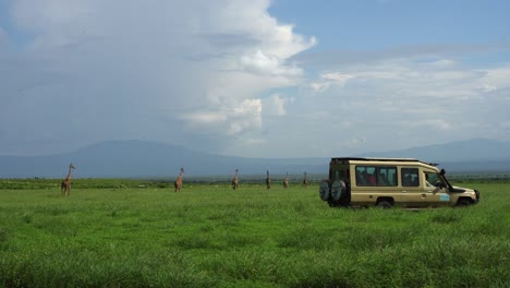 Toma-Manual-De-Un-Grupo-De-Jirafas-Explorando-El-Desierto-Abierto-Con-Un-Auto-Safari-Sentado-En-Primer-Plano-En-Tanzania