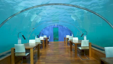 Walking-into-underwater-restaurant-in-the-Maldives