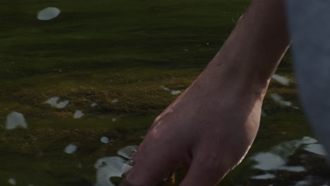 Eine-Männliche-Hand,-Die-Das-Seichte-Wasser-Eines-Sees-Spürt