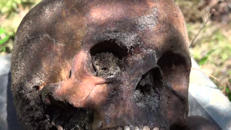 Exhumación-Es-El-Acto-De-Desenterrar,-Especialmente-Un-Cadáver