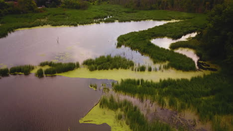 Aerial-flyover-of-a-swampy-wetland-marsh-on-a-cloudy-summer-day
