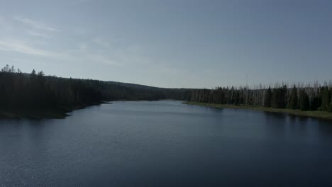 Drone-shot-of-a-beautiful-lake-in-the-harz-national-forest