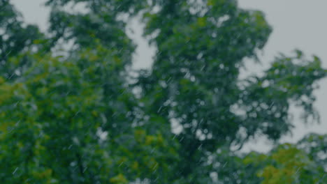 Slow-motion-rainfall-with-trees-in-the-background