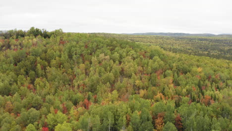 Aerial-of-flying-over-a-beautiful-forest,-revealing-behind-mountain,-in-fall-colors-in-october,-in-a-rural-landscape,-in-Charlevoix,-Quebec,-Canada