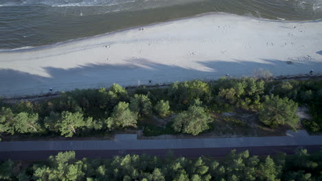 Aerial-top-down-shot-of-sandy-beach,-forest-path-and-Sea-shoreline-in-summer