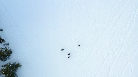 An-aerial-drone-birds-eye-view-shot-moving-upward-while-slowly-rotating-showing-a-group-of-people-in-the-middle-of-a-snowy-clearing-in-the-mountains-during-the-winter
