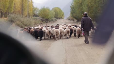 Conducir-Y-Viajar-A-Través-Del-Increíble-Valle-Barskoon-En-Kirguistán-Asia-Central