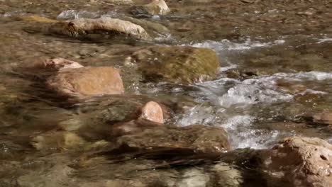 Kristallklares-Flusswasser,-Das-über-Kleine-Felsen-Fließt