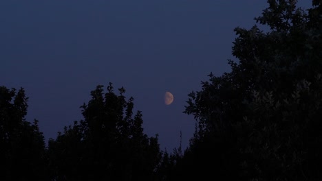 Shots-of-the-moon-including-timelapse-and-slowmotion