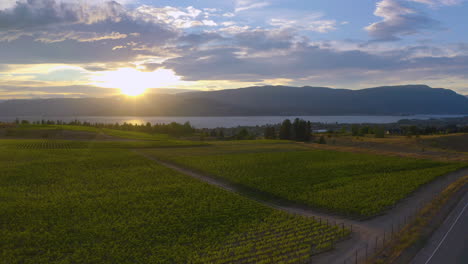 Drone-view-descends-next-to-wineries-as-the-golden-hour-sun-sets-behind-the-mountains-across-the-Okanagan-Lake