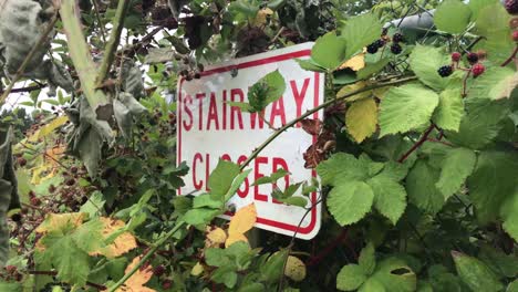 An-overgrown-sign-saying-Stairway-Closed
