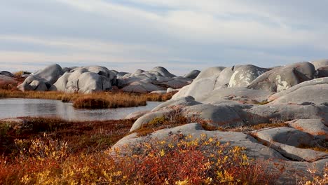 Graffitied-rocks-near-pond-Churchill-Manitoba-Canada-shores-of-Hudson-Bay-truck-right-slow-moving-shot