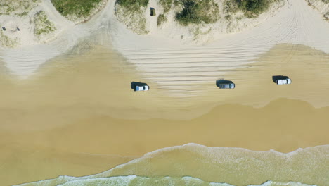 4K-Aerial-Top-Down-View-4WD-Cars-Driving-In-Convoy-Along-Sandy-Beach-Shore,-Australia,-Drone