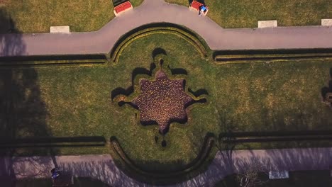 Drone-flying-up-above-the-park-while-looking-down