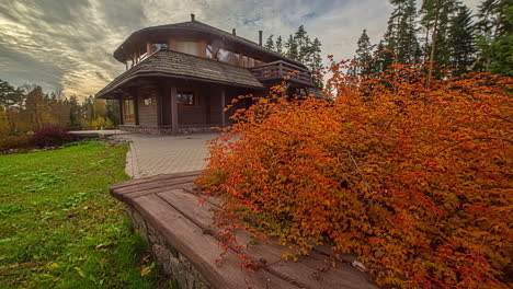 Static-shot-of-red-dry-leaves-of-a-small-bush-beside-a-wooden-bungalow-on-a-cloudy-day-in-timelapse