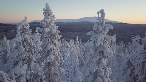 Aerial-shot-moving-between-trees-revealing-fell-mountain-Yllas-in-the-background-in-Lapland-Finland