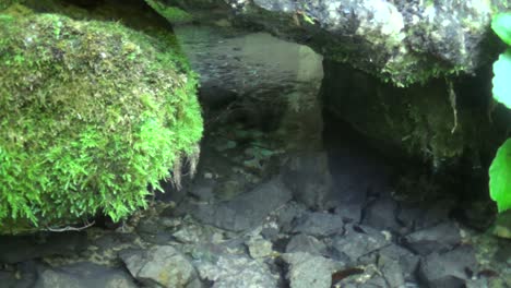 Trinkwasser-Kommt-Aus-Der-Höhle-Und-Fließt-Unter-Der-Brücke-Hindurch