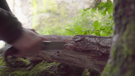 Man-cuts-a-large-piece-of-wood-with-a-hacksaw-in-a-forest-in-summer,-4k