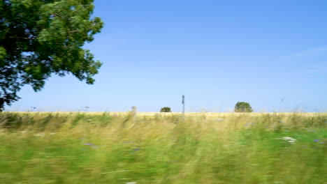 Die-Schöne-Grüne-Englische-Britische-Landschaft,-Die-An-Der-Seite-Eines-Autos-Vorbeifährt,-Das-In-Zeitlupe-Die-Malerischen-Landstraßen-Hinunterfährt-Und-Weizenfelder-Und-Das-Ackerland-Des-Britischen-Gloucestershire-Zeigt