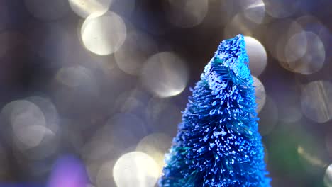 Snow-covered-Green-Bottle-Brush-tree-tip-with-glittery-bokeh-background
