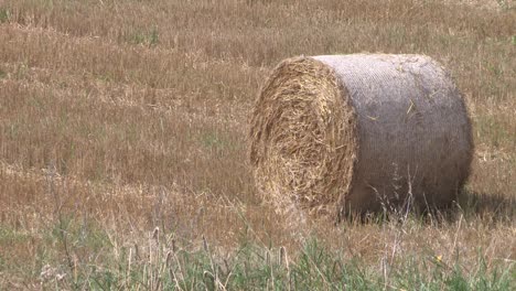 Bale-of-straw-in-Europe