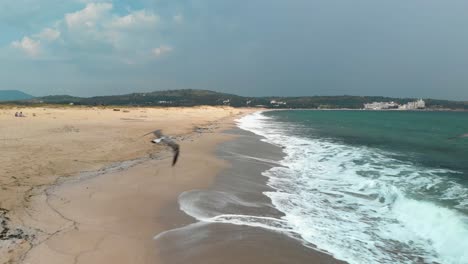 Seagulls-take-off-from-the-seashore-in-front-of-the-filming-drone-in-Sozopol,-Bulgaria