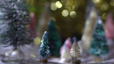 Blinkende-Lichter-Auf-Weihnachtsflaschenbürstenbaumwald-Nachts