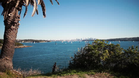 Sydney-skyline-Watsons-bay-daytime
