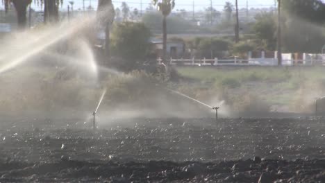 Irrigation-Sprinklers-in-Southern-California,-USA-1