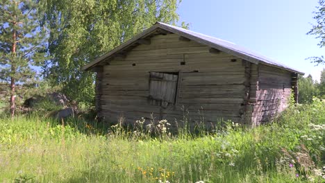 Romantic-wooden-hut-or-barn-in-the-sunshine-in-Finland