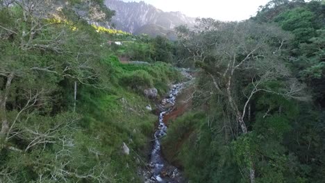 Drone-footage-mount-kinabalu-flying-through-foliage-and-streams