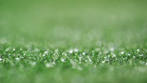 Shallow-Depth-of-field-on-green-golf-course-grass-with-morning-dew
