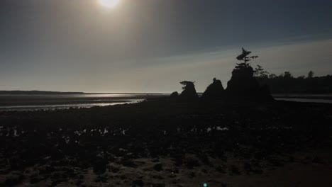 4k-Handheld-Footage-of-a-rocky-beach-in-Oregon,-USA-at-low-tide-and-sunset-1