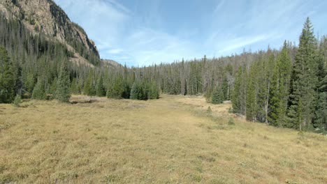 Aerial-over-meadow-towards-trees-and-mountain-in-Colorado