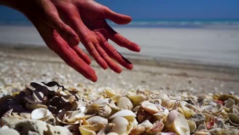 Male-caucasian-hands-pick-up-and-drop-pile-of-shells-on-beach,-close-up