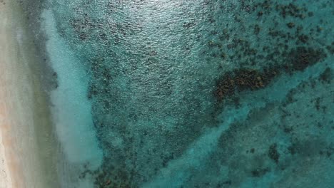 Blick-Auf-Die-Blaue-Meeresoberfläche-Der-Korallenbucht-Mit-Menschen,-Die-In-Der-Nähe-Des-Strandes-Schwimmen