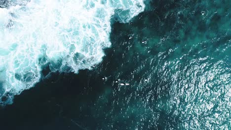 Luftaufnahme,-Die-Direkt-Auf-Einige-Surfer-Auf-Dem-Ozean-Blickt