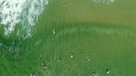 Queensland-beach-on-the-Gold-coast,-Surfers-competing-for-good-wavers