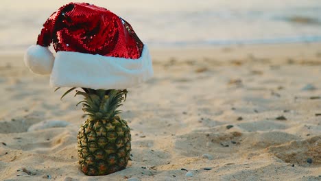 Strand-In-Curaçao---Ananas-Mit-Weihnachtsmütze-Im-Sand---Nahaufnahme
