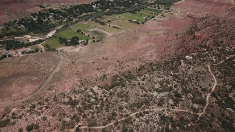 Zion-National-Park,-Utah-Usa,-Filmische-Luftaufnahme-über-Das-Grüne-Tal-In-Der-Schlucht-Und-Steile-Rote-Sandsteinformationen-Oben