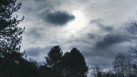 Kurzer-Zeitraffer-Des-Himmels-Im-Britischen-Park-Mit-Wolken,-Flugzeugen-Und-Kondensstreifen-3