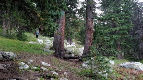 Guy-walking-in-forest-scares-deer-in-Colorado