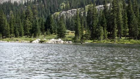 Moose-looks-over-in-lake-in-Colorado